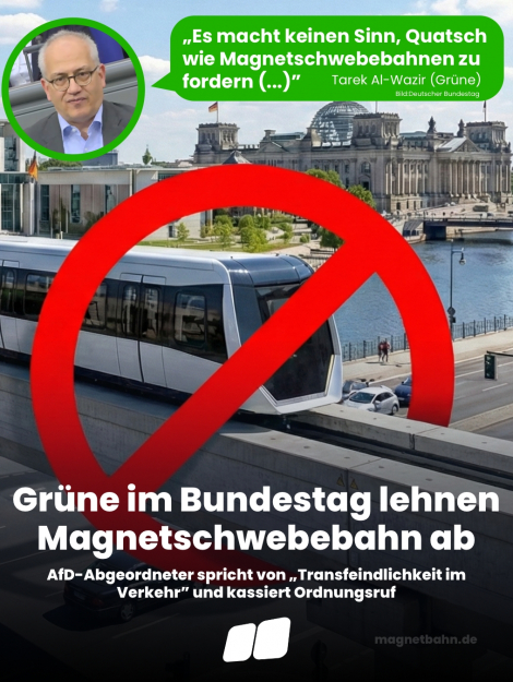 Quatschmagnetbahn_Grüne
